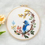 Eastern Bluebird