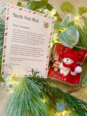 CHRISTMAS Teddy Bear